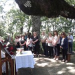 ΑΓ. ΑΝΑΡΓΥΡΟΙ 2017