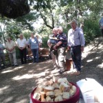 ΓΙΟΡΤΗ ΑΓ. ΑΝΑΡΓΥΡΩΝ 2017