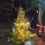 Καλά Χριστούγεννα