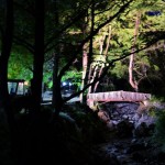 ΜΕΣΑ ΣΤΟ ΧΩΡΙΟ